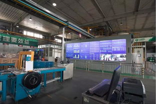 龍蟠科技 信息技術驅動下的創新與發展